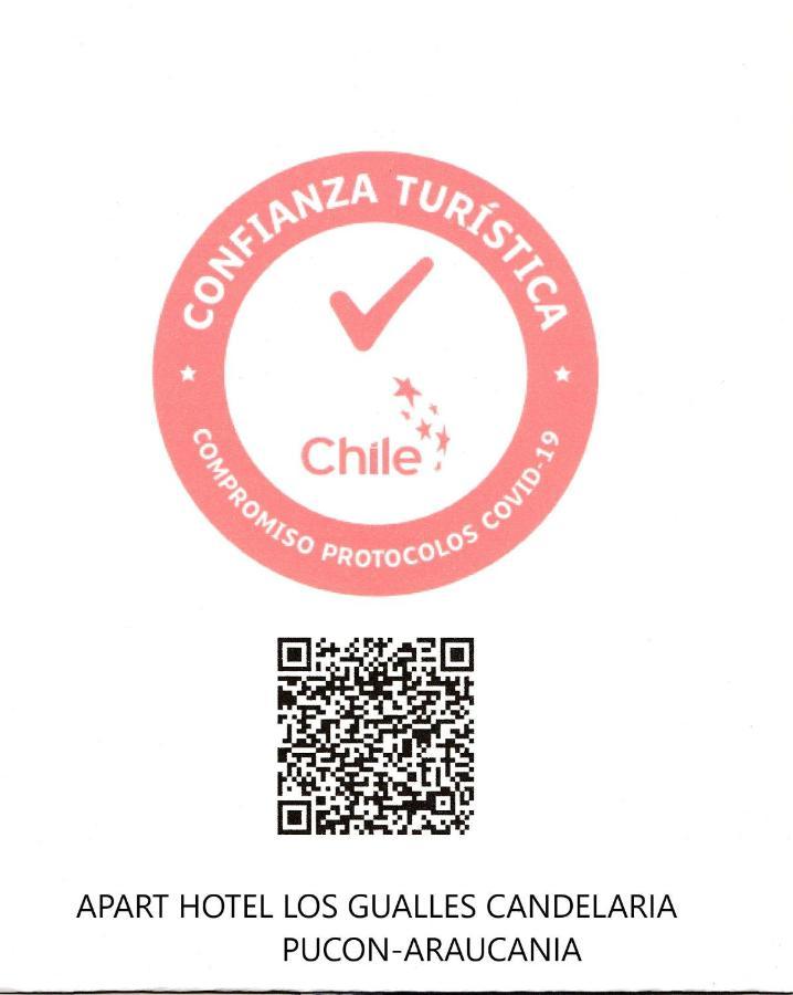 Los Gualles De La Candelaria Apart Hotel プコン エクステリア 写真